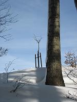  9. Februar 2010 - an Deinem ersten Todestag scheint die Sonne